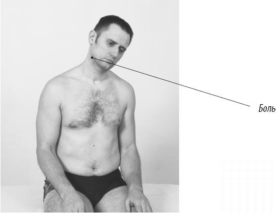 Иллюстрация к книге — Скульптурная гимнастика для мышц, суставов и внутренних органов [Autogen_eBook_id114.jpg]