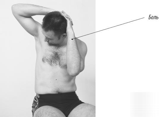 Иллюстрация к книге — Скульптурная гимнастика для мышц, суставов и внутренних органов [Autogen_eBook_id123.jpg]