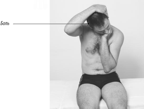 Иллюстрация к книге — Скульптурная гимнастика для мышц, суставов и внутренних органов [Autogen_eBook_id124.jpg]