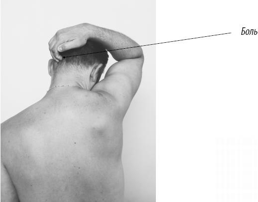 Иллюстрация к книге — Скульптурная гимнастика для мышц, суставов и внутренних органов [Autogen_eBook_id128.jpg]