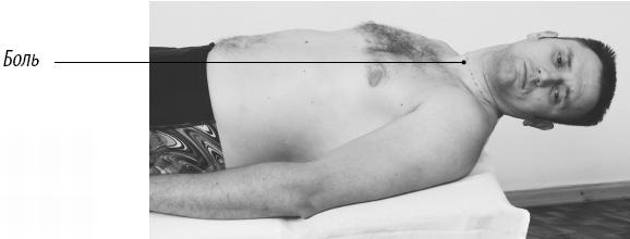 Иллюстрация к книге — Скульптурная гимнастика для мышц, суставов и внутренних органов [Autogen_eBook_id134.jpg]