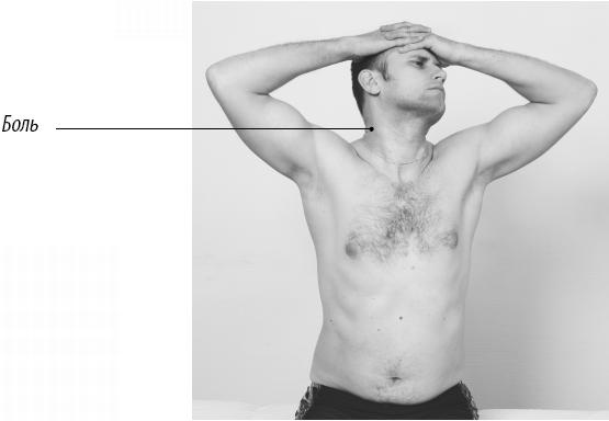 Иллюстрация к книге — Скульптурная гимнастика для мышц, суставов и внутренних органов [Autogen_eBook_id138.jpg]