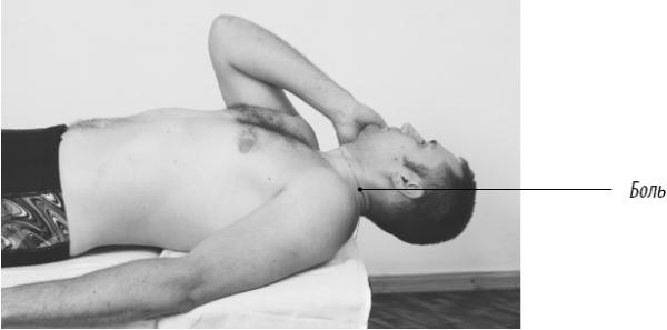 Иллюстрация к книге — Скульптурная гимнастика для мышц, суставов и внутренних органов [Autogen_eBook_id139.jpg]