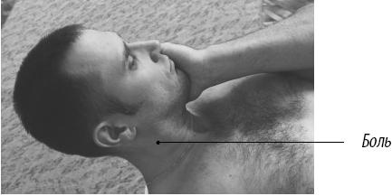 Иллюстрация к книге — Скульптурная гимнастика для мышц, суставов и внутренних органов [Autogen_eBook_id141.jpg]