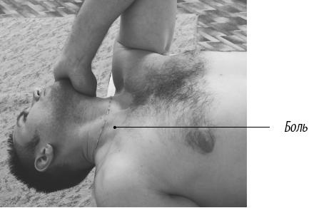 Иллюстрация к книге — Скульптурная гимнастика для мышц, суставов и внутренних органов [Autogen_eBook_id142.jpg]