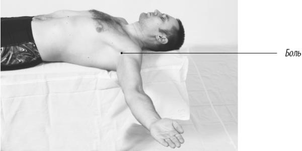 Иллюстрация к книге — Скульптурная гимнастика для мышц, суставов и внутренних органов [Autogen_eBook_id156.jpg]