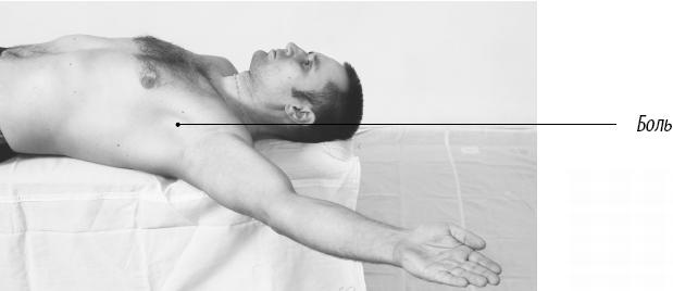 Иллюстрация к книге — Скульптурная гимнастика для мышц, суставов и внутренних органов [Autogen_eBook_id157.jpg]