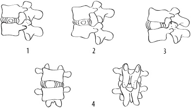 Иллюстрация к книге — Скульптурная гимнастика для мышц, суставов и внутренних органов [Autogen_eBook_id16.jpg]