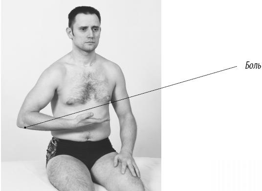 Иллюстрация к книге — Скульптурная гимнастика для мышц, суставов и внутренних органов [Autogen_eBook_id176.jpg]