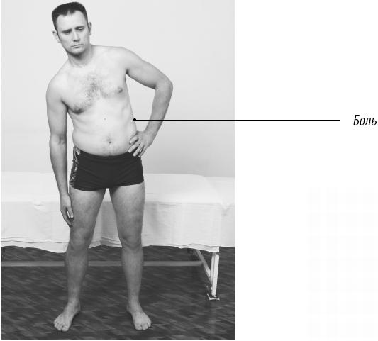 Иллюстрация к книге — Скульптурная гимнастика для мышц, суставов и внутренних органов [Autogen_eBook_id193.jpg]