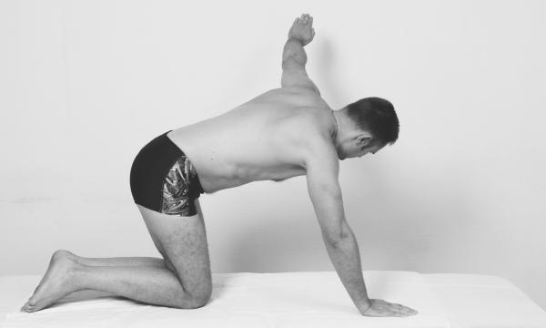 Иллюстрация к книге — Скульптурная гимнастика для мышц, суставов и внутренних органов [Autogen_eBook_id281.jpg]