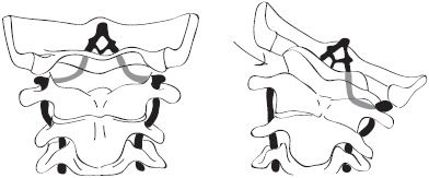 Иллюстрация к книге — Скульптурная гимнастика для мышц, суставов и внутренних органов [Autogen_eBook_id320.jpg]