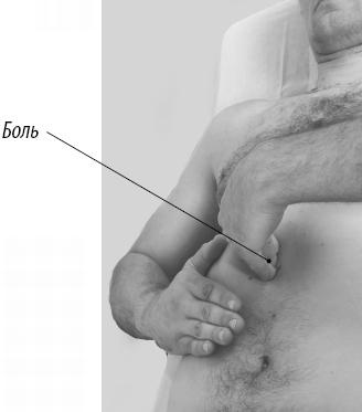 Иллюстрация к книге — Скульптурная гимнастика для мышц, суставов и внутренних органов [Autogen_eBook_id63.jpg]