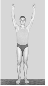 Иллюстрация к книге — Гимнастика будущего [Autogen_eBook_id0.jpg]