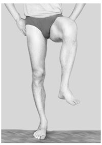 Иллюстрация к книге — Гимнастика для внутренних органов [Autogen_eBook_id31.jpg]