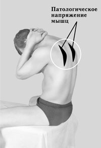 Иллюстрация к книге — Гимнастика для внутренних органов [Autogen_eBook_id61.jpg]