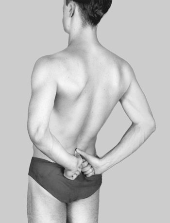 Иллюстрация к книге — Гимнастика для сосудов [Autogen_eBook_id110.jpg]