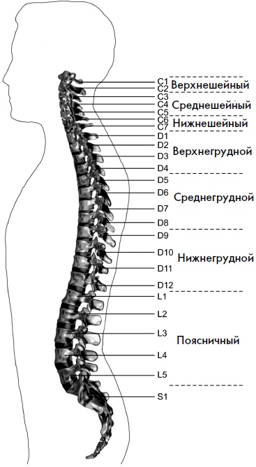 Иллюстрация к книге — Гимнастика для сосудов [Autogen_eBook_id13.jpg]