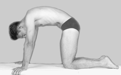 Иллюстрация к книге — Гимнастика для сосудов [Autogen_eBook_id97.jpg]