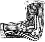 Иллюстрация к книге — Человек в экстремальной ситуации [i_071.jpg]
