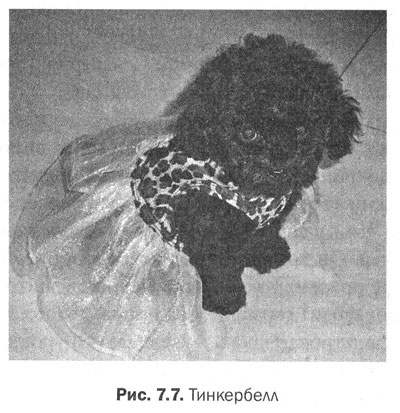 Иллюстрация к книге — Измени свой мозг - изменится и тело! [i_029.jpg]