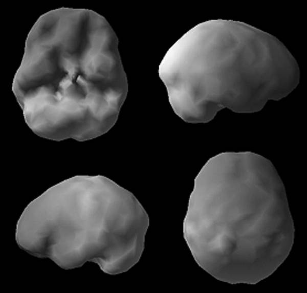 Иллюстрация к книге — Измени свой мозг - изменится и возраст! [i_006.jpg]