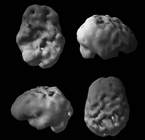 Иллюстрация к книге — Измени свой мозг - изменится и возраст! [i_007.jpg]