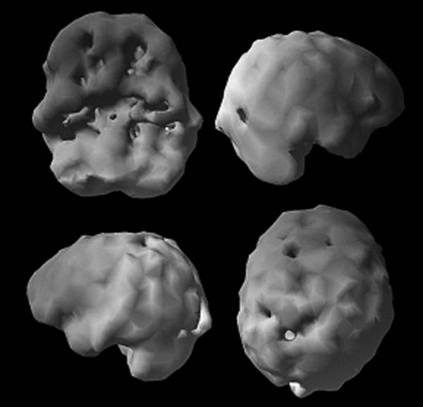 Иллюстрация к книге — Измени свой мозг - изменится и возраст! [i_012.jpg]