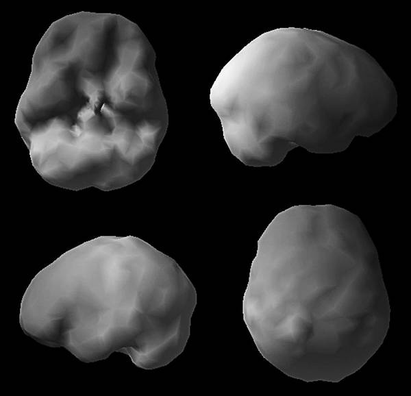 Иллюстрация к книге — Измени свой мозг - изменится и возраст! [i_017.jpg]