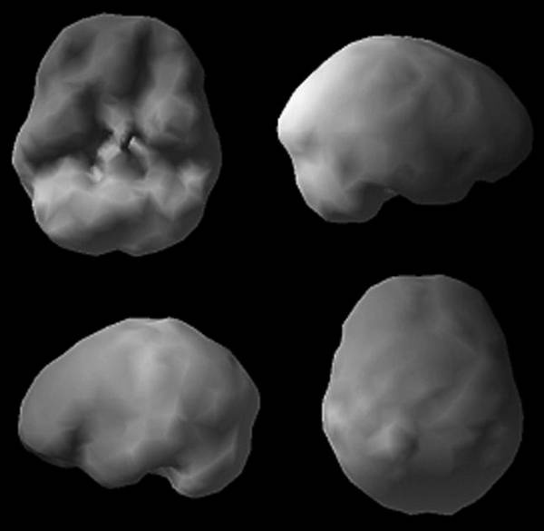 Иллюстрация к книге — Измени свой мозг - изменится и возраст! [i_031.jpg]