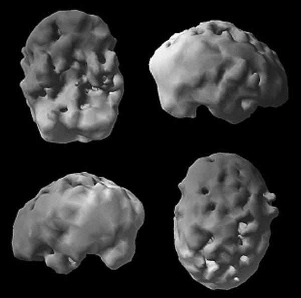 Иллюстрация к книге — Измени свой мозг - изменится и возраст! [i_032.jpg]