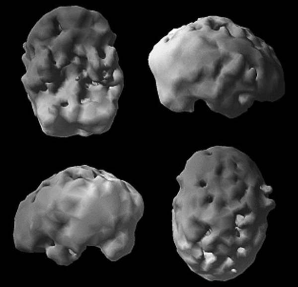 Иллюстрация к книге — Измени свой мозг - изменится и возраст! [i_033.jpg]