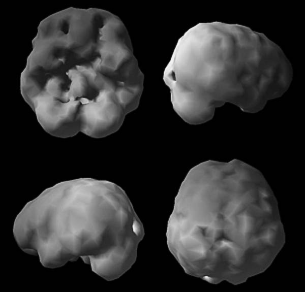 Иллюстрация к книге — Измени свой мозг - изменится и возраст! [i_038.jpg]