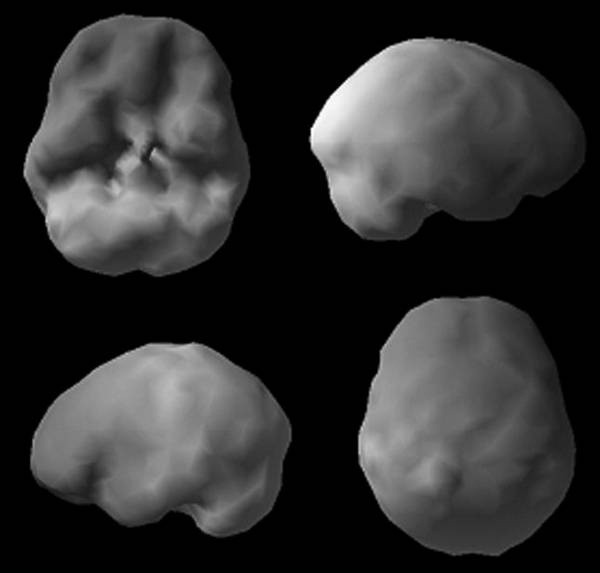 Иллюстрация к книге — Измени свой мозг - изменится и возраст! [i_056.jpg]