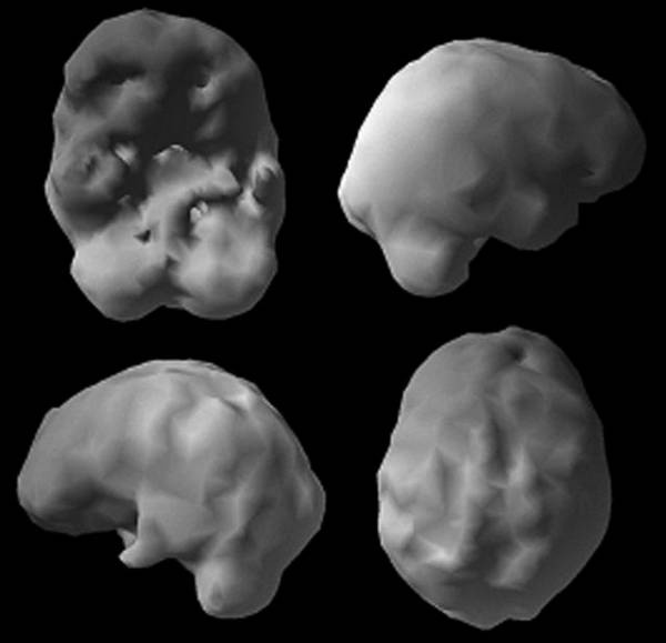 Иллюстрация к книге — Измени свой мозг - изменится и возраст! [i_057.jpg]