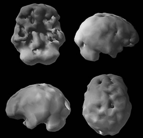 Иллюстрация к книге — Измени свой мозг - изменится и возраст! [i_064.jpg]