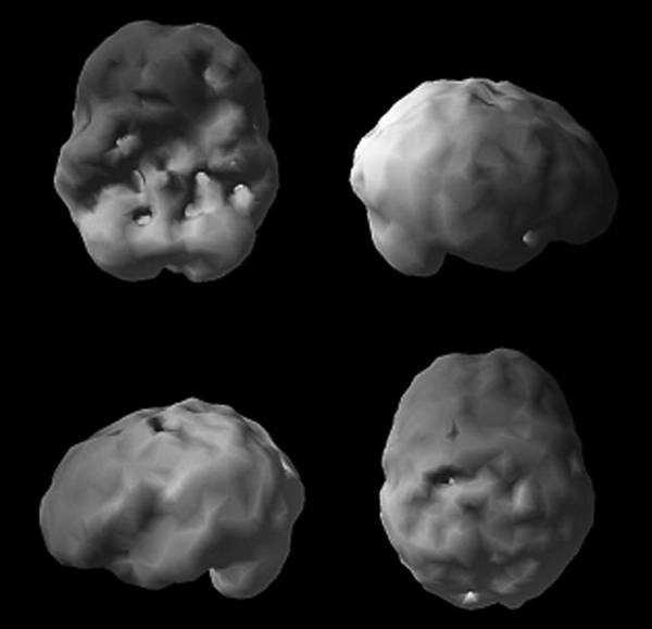 Иллюстрация к книге — Измени свой мозг - изменится и возраст! [i_066.jpg]