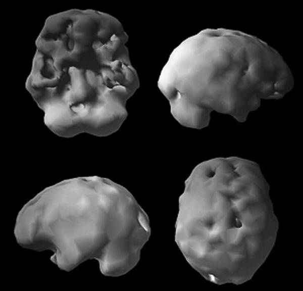 Иллюстрация к книге — Измени свой мозг - изменится и возраст! [i_071.jpg]