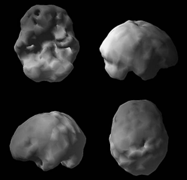 Иллюстрация к книге — Измени свой мозг - изменится и возраст! [i_072.jpg]