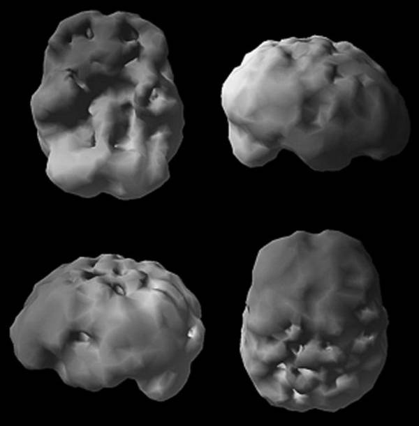 Иллюстрация к книге — Измени свой мозг - изменится и возраст! [i_085.jpg]