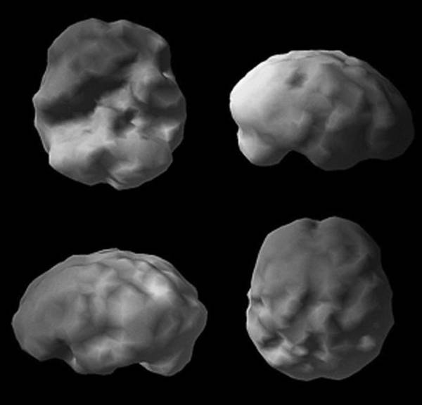 Иллюстрация к книге — Измени свой мозг - изменится и возраст! [i_086.jpg]