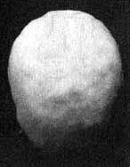 Иллюстрация к книге — Измените свой мозг - изменится и жизнь! [i_005.jpg]