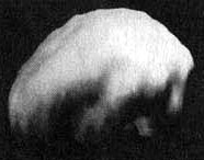 Иллюстрация к книге — Измените свой мозг - изменится и жизнь! [i_008.jpg]