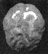 Иллюстрация к книге — Измените свой мозг - изменится и жизнь! [i_010.jpg]