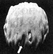 Иллюстрация к книге — Измените свой мозг - изменится и жизнь! [i_020.jpg]