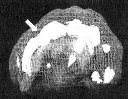 Иллюстрация к книге — Измените свой мозг - изменится и жизнь! [i_024.jpg]