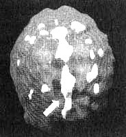 Иллюстрация к книге — Измените свой мозг - изменится и жизнь! [i_025.jpg]