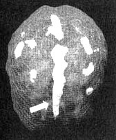 Иллюстрация к книге — Измените свой мозг - изменится и жизнь! [i_057.jpg]