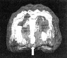 Иллюстрация к книге — Измените свой мозг - изменится и жизнь! [i_060.jpg]