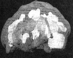 Иллюстрация к книге — Измените свой мозг - изменится и жизнь! [i_067.jpg]